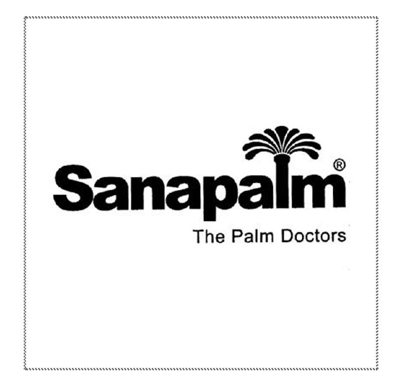 Sanapalm Palmdoktor
