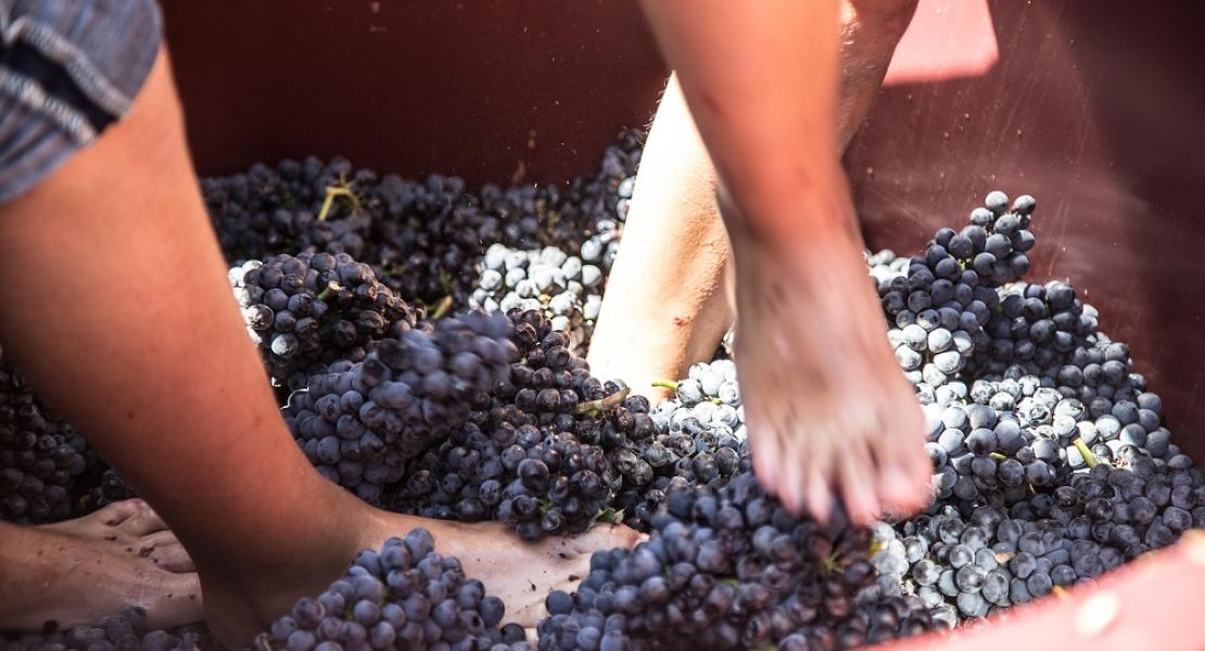Den eigenen Wein auf Mallorca genießen? Mit Wein-Wert wird das möglich