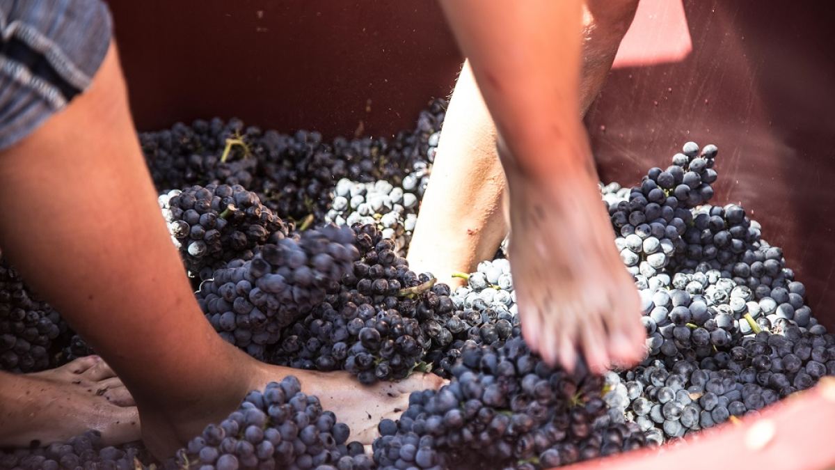 Den eigenen Wein auf Mallorca genießen? Mit Wein-Wert wird das möglich