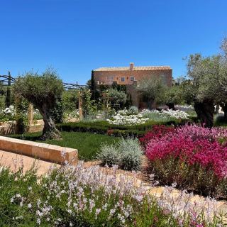 Die "Traumgärtner" von Mallorca - Gartenbau für den perfekten Aussenbereich