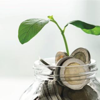 Mit Subventionen auf Mallorca in Nachhaltigkeit investieren