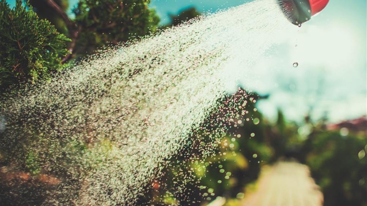 So grünt und blüht es mit wenig Wasser