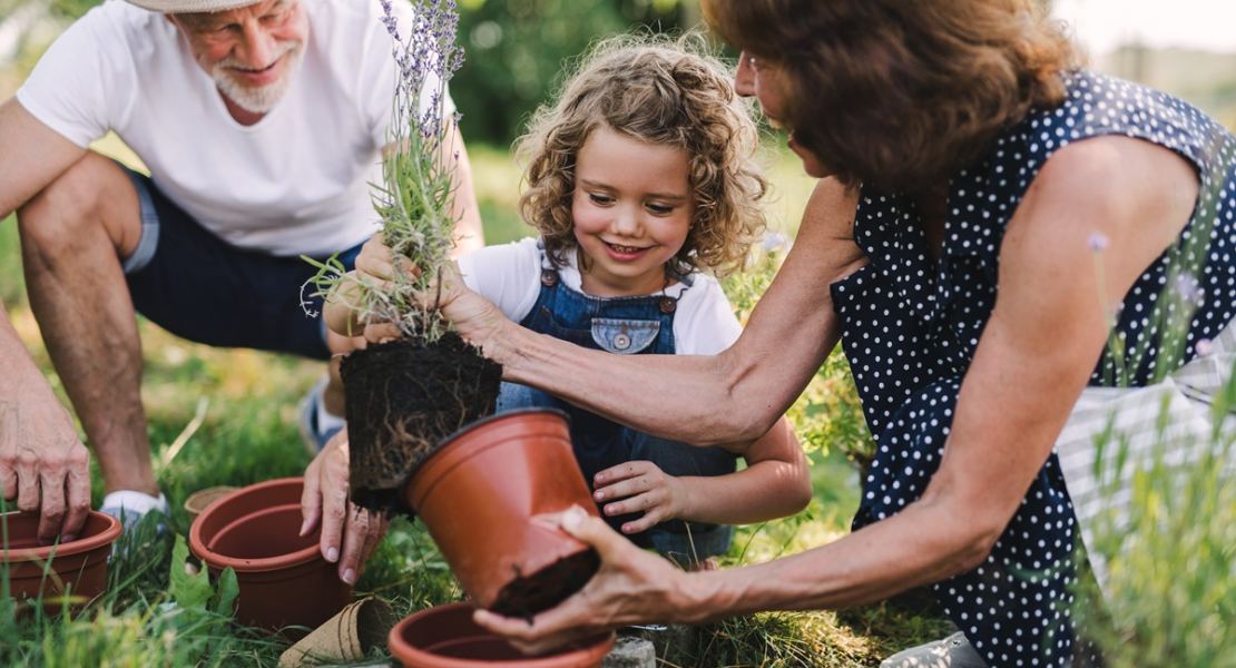 Gartenzauber:  Tipps für Gestaltung  und Pflege