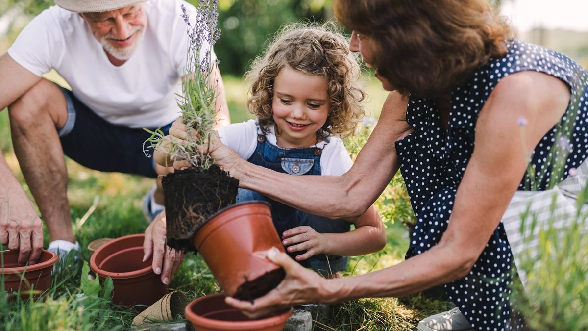 Gartenzauber:  Tipps für Gestaltung  und Pflege