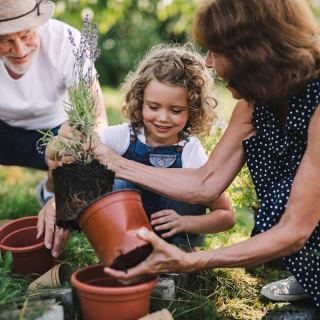 Gartenzauber:  Tipps für Gestaltung  und Pflege